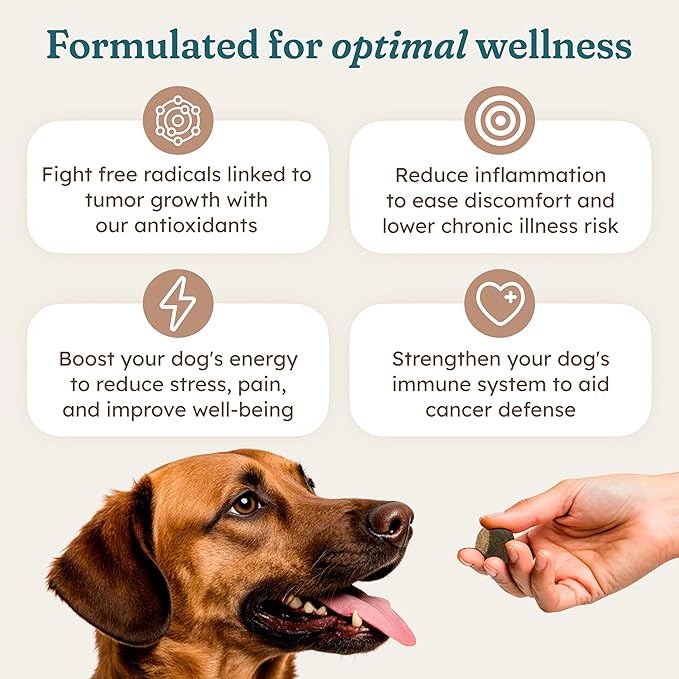PetHeal Immune Plus Chews for Dogs - Vet-Reviewed - Supports Immunity, Energy & Liver Health with Turkey Tail, Reishi & Milk Thistle | Reduces Lumps & Promotes Shiny Coat | 30 Pork-Flavored Soft Chews