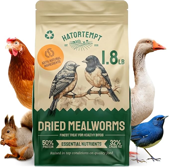 Hatortempt 1.8lb Dried Mealworms for Wild Birds - 50% Protein Meal Worms for Wild Birds - Attracts Bluebirds, Starlings, Wrens, Woodpeckers, Cardinals and Robins