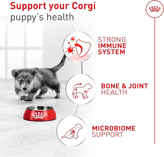 Royal Canin Corgi Puppy Dry Dog Food, Kibble for Corgis 2 to 12 Months, Supports Digestion and Bone and Joint Support 6 lb Bag