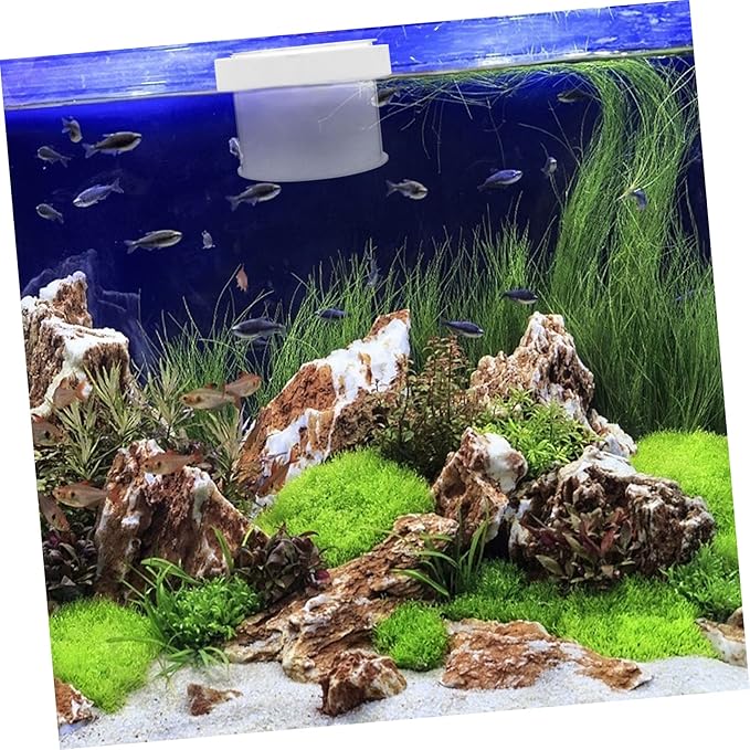 Happyyami Floating Fish Separator Box for Tank Guppy Breeding Box Removable Cover Acrylic Specimen Containers