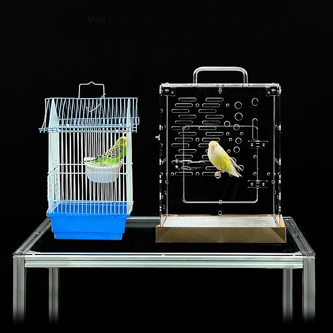 GuineaLoft™ Acrylic Bird Cage Model-ETO, Crystal Clear, 360° Panoramic View, Portable & Easy Clean Design with Canvas Bottom- Visit The GuineaLoft Store
