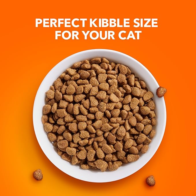 IAMS Proactive Health Dry Cat Food Hairball Care, Adult Cat Food, with Real Chicken and Salmon, 7 lb. Bag