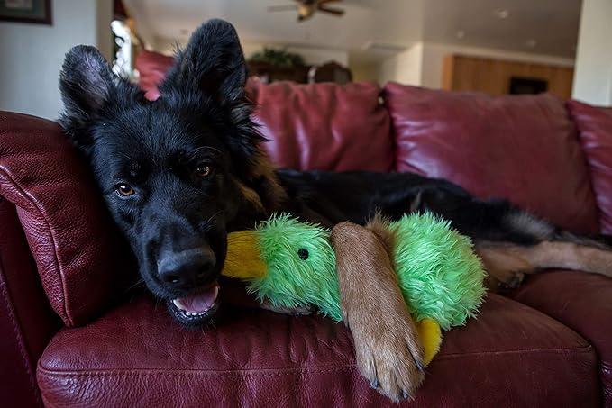 Multipet Duckworth Plush Filled Dog Toy,Assorted Colors,(Pack of 2)