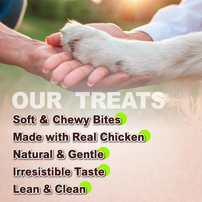 A Freschi srl Soft Chicken Dog Treats, All Natural, High-Protein, Healthy & Easily Digestible, Grain-Free Puppy Chews, Human Grade Training & Rewards Dog Snacks, Chicken Breast Strips, 16 oz Pack