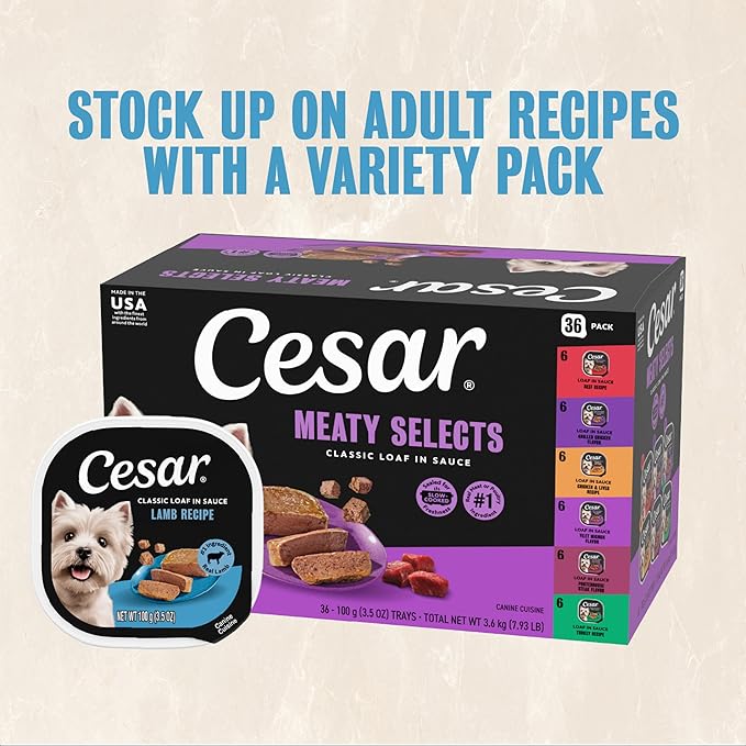 Cesar Classic Loaf in Sauce Adult Wet Dog Food Lamb Recipe, 3.5 oz. Easy Peel Trays, 24 Count (Pack of 1)