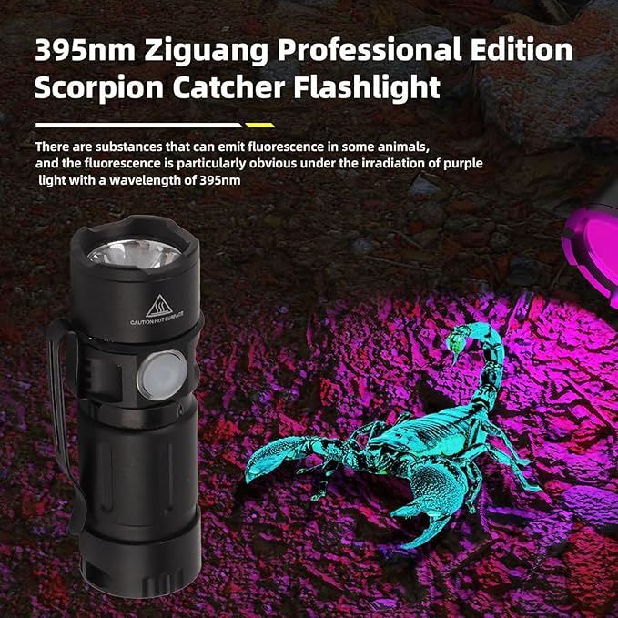 Fafeicy 395nm Black Light Flashlight Multiple Modes Small LED Torch Portable Pet Urine Detectors for Detecting Verifying Currency