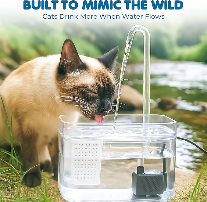 SunGrow Cat Water Fountain, Automatic Flowing Hydration Station with Filter & Silent USB Pump, Easy-to-Use Transparent Feeder Bowl for Indoor Felines, Ferrets, and Other Small Animals,6" x 5" x 5"