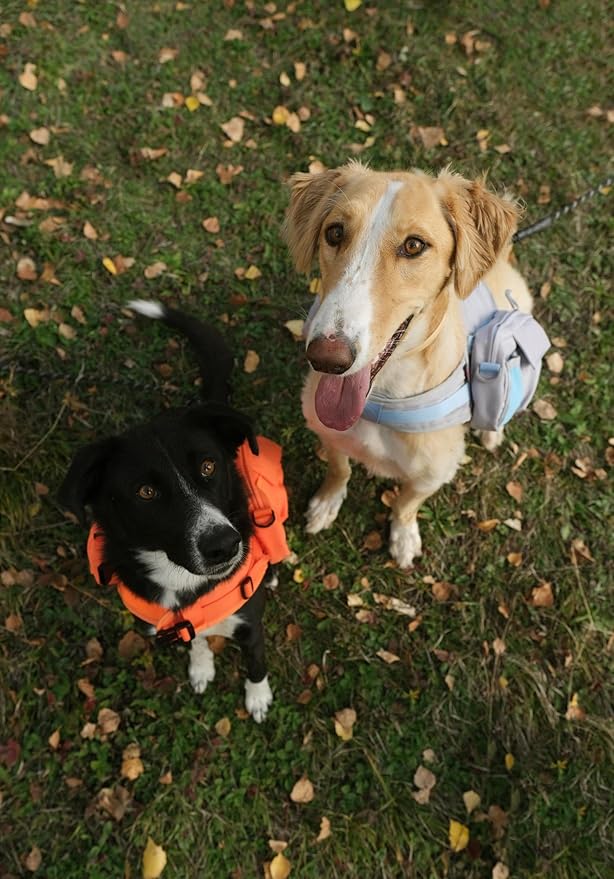 Dog Backpack for Small Medium Large Dogs,Adjustable Dog Backpack Harness with 2 Side Pockets,Vest Dog Pack for Travel,Hiking, Camping