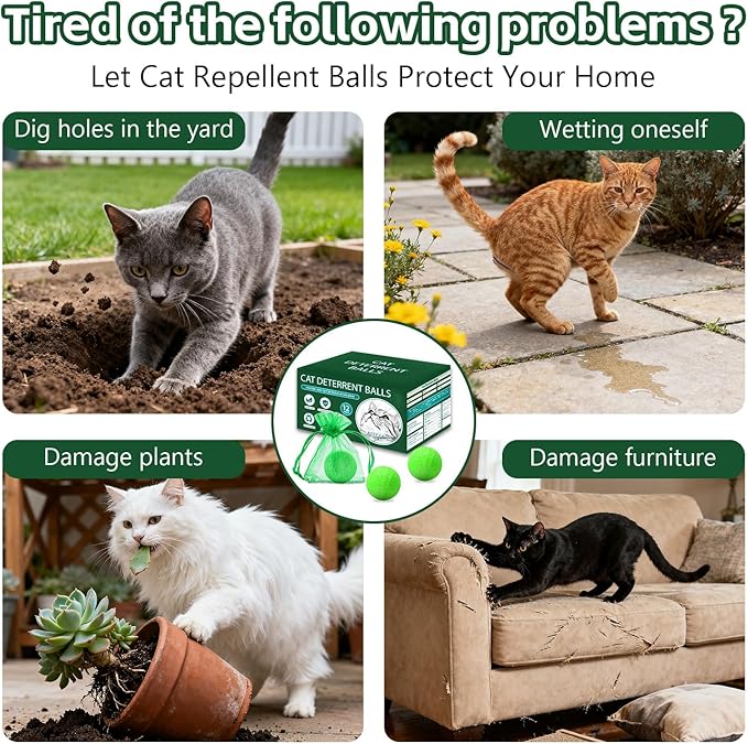 Cat Repellent Outdoor to Keep Cats Away (12Pack) Natural Peppermint Oil Cat Deterrent Outdoor and Indoor (Green)