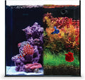 Ultum Nature Systems Dual AIO - Freshwater/Saltwater Compatible All in One Rimless Tank with Triple Chamber Filtration System, Integrated Filter Aquarium w/Leveling Mat - 17 Gallon, 40A, Black