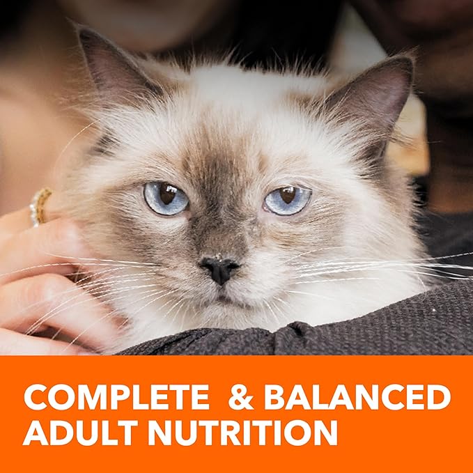 IAMS Proactive Health Dry Cat Food Hairball Care, Adult Cat Food, with Real Chicken and Salmon, 7 lb. Bag
