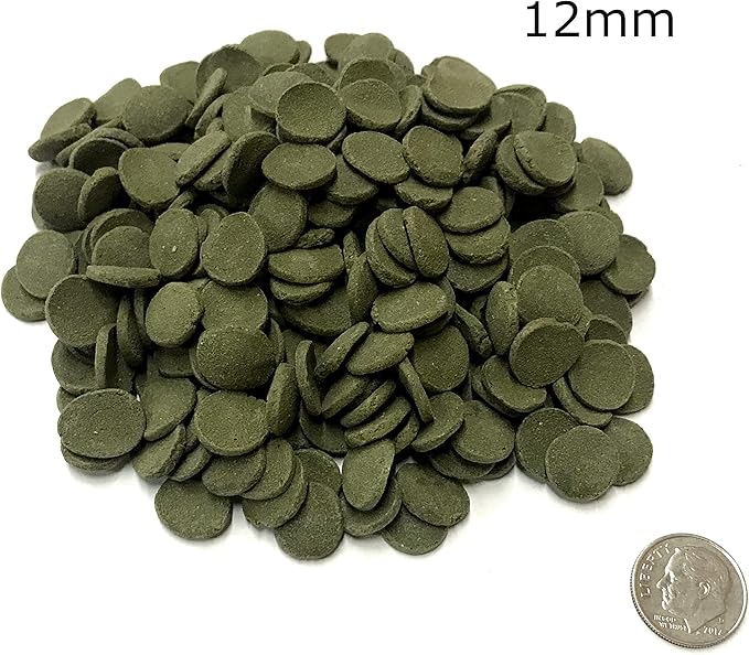 Medium 12mm Algae Wafer - Algae Wafers for Bottom Feeders - The Best Pleco Wafers & Pleco Food Available - Algae Wafers for Snails (2 lb)