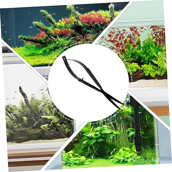 Mipcase 2pcs Home Terrarium Scissors Aquatic Plant Trimmer for Aquariums Resistant Spring Scissors for Easy Plant Maintenance for Tanks