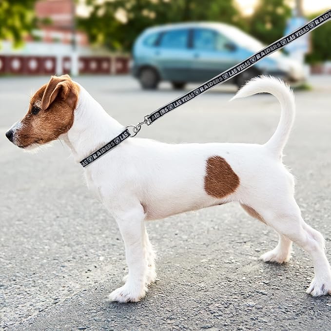 NFL PET Leash Las Vegas Raiders Dog Leash, Large Football Team Leash for Dogs & Cats. A Shiny & Colorful Cat Leash & Dog Leash Licensed by The NFL