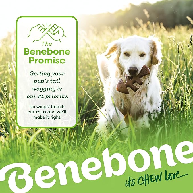 Benebone Small 4-Pack Dog Toys for Aggressive Chewers – Durable Dog Bones, Made in USA – Dog Toys for Small Dogs Under 30 lbs