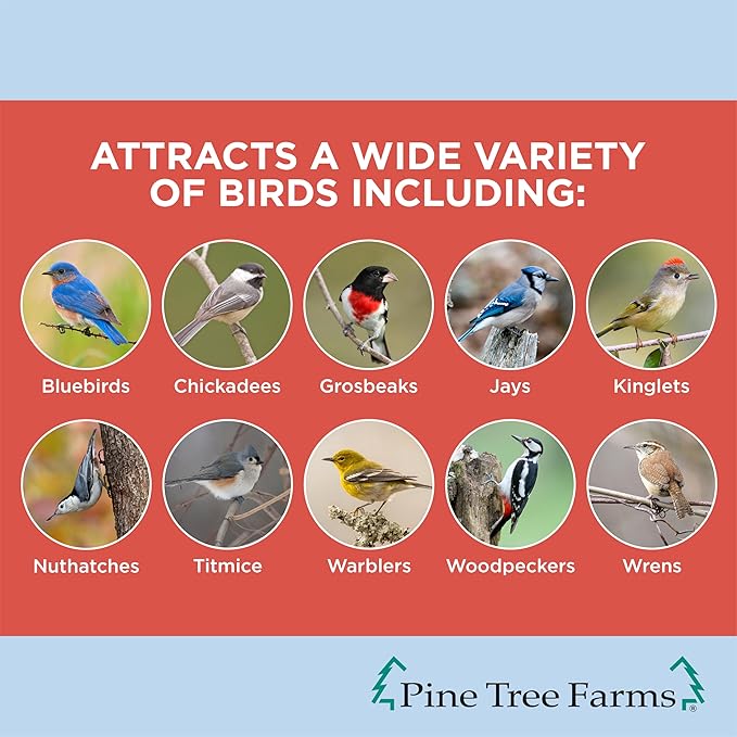 Pine Tree Farms Woodpecker Classic Wild Bird Seed Log, Gourmet Bird Food with Almonds, Peanuts, Sunflower Hearts, Black Oil Sunflower Seeds & More, 36 oz. (Pack of 3)