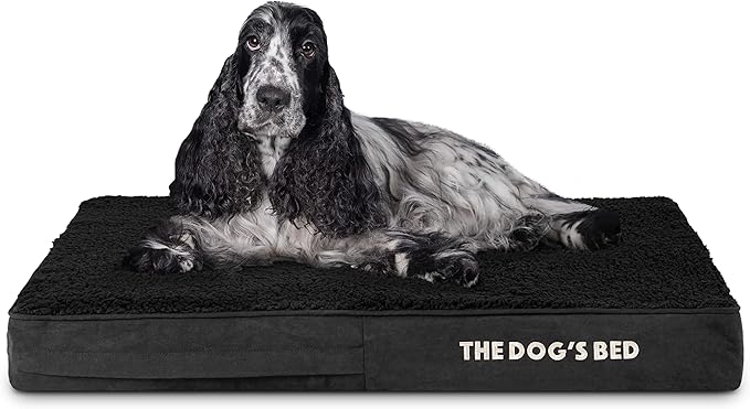 The Dog’s Bed Orthopedic Memory Foam Dog Bed Mattress, Plush Fabric, Grey with Blue Trim, Medium, 4-Inch