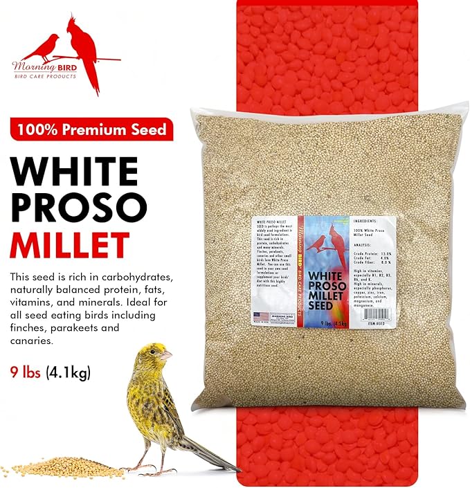 Morning Bird White Proso Millet 9 lbs – Natural Bird Seed – Supports Feather Growth & Balanced Nutrition – High Energy Delicious Seed - Ideal for Finches, Parakeets & Pet Birds