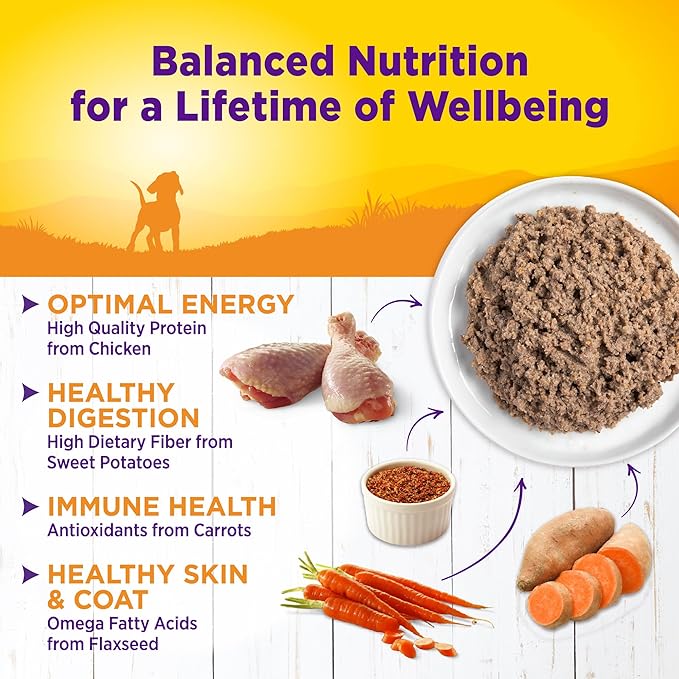 Wellness Complete Health Pate Puppy Canned Wet Dog Food, Wholesome Grains, Natural, Chicken and Salmon Recipe, 12.5 oz, Pack of 12 Cans