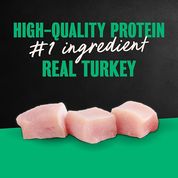 Cesar Filets in Gravy Adult Wet Dog Food Turkey Recipe, 3.5 oz. Easy Peel Dog Food Tray, 24 Count (Pack of 1)