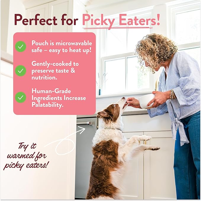 Portland Pet Food Company Fresh Dog Food Pouches Human-Grade Toppers Wet Pet Meal & Mix-Ins - Gluten-Free Limited Ingredient Wally’s Salmon N’ Rice - Large & Small Breed, Puppy to Senior - 5 Pack