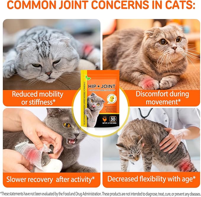 Hip & Joint Bites for Cats - Cat Joint Supplement,Chicken Flavored Glucosamine Joint Supplement for Cats - Cat Joint Supplement for HIPS & Joints, Cat Arthritis Pain Relief, with Green Lipped Mussel