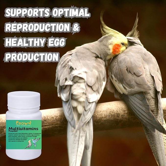 Multivitamin Powder for Birds – Ultimate Vitamin Formula for Racing & Breeding – Supports Growth, Bone Strength, Reproductive Health & Feather Health - Promotes Peak Performance & Well-Being 50g