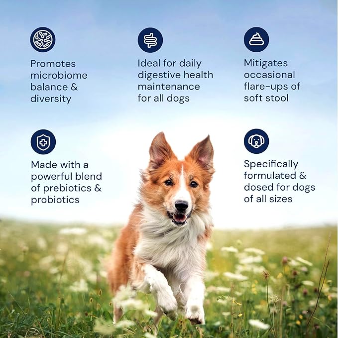 Animal Biome Gut Maintain Probiotics and Prebiotics for Dogs - Reduce Diarrhea Flareups - for Small Dogs (60 Capsules)
