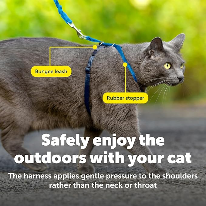 PetSafe Come With Me Kitty Cat Harness & Bungee Leash - Comfortable Cat Harness with Lightweight Bungee Leash for Outdoor Fun - More Secure Walks - Small - Royal Blue