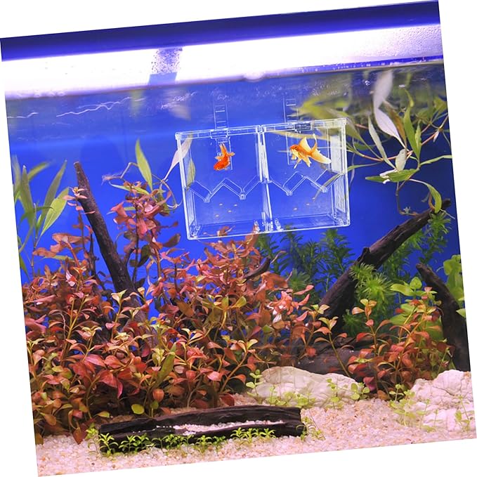 SUPVOX Fish Breeding Box Double Layer Isolation Hatchery for Aquariums Plastic Fish Breeding Case Divider for Fry