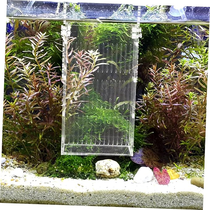 Mikikit Acrylic Fish Incubator for Betta Sturdy Aquarium Breeding Box Fish Tank Separator