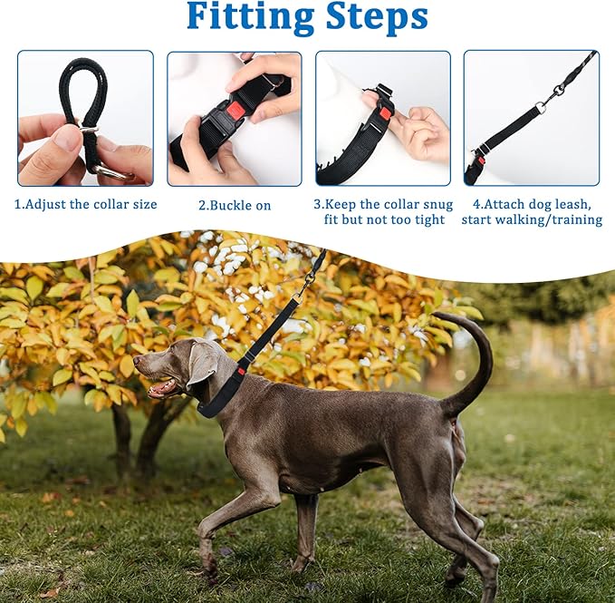 Mayerzon Dog Collar, Patented Martingale No Pull Collar for Small Medium Large Dogs with Buckle for Walking Training, Hidden Design (Black, Medium,2.5mm,14.5"-18.5" Neck)