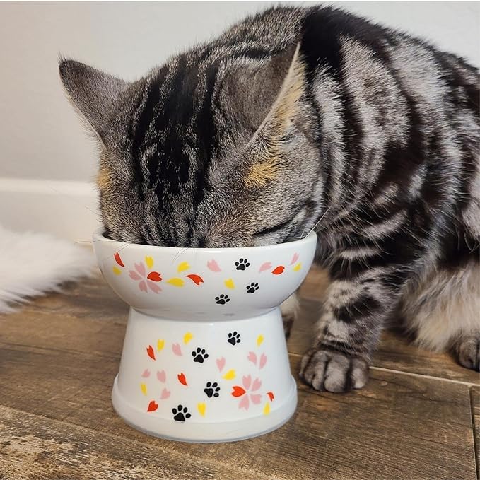 Necoichi Raised Cat Food Bowl – Ceramic Elevated Cat Bowl for Whisker & Neck Fatigue, Dishwasher Microwave Safe – Non-Slip & Anti Vomiting Ergonomic Design (Sakura Floral, Large, 2-Cup Capacity)