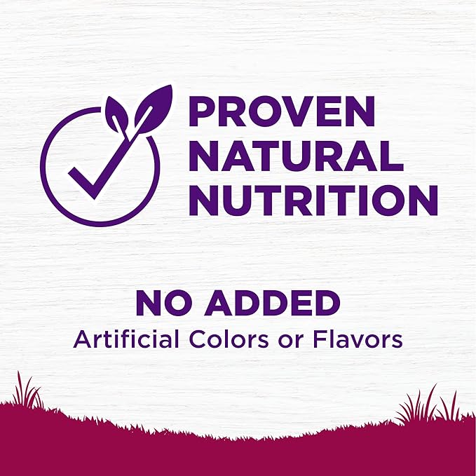 Wellness Complete Health Age Advantage Small Breed Senior Dry Dog Food, Wholesome Grain Kibble, Natural, Turkey and Peas Recipe, 4 lb Bag