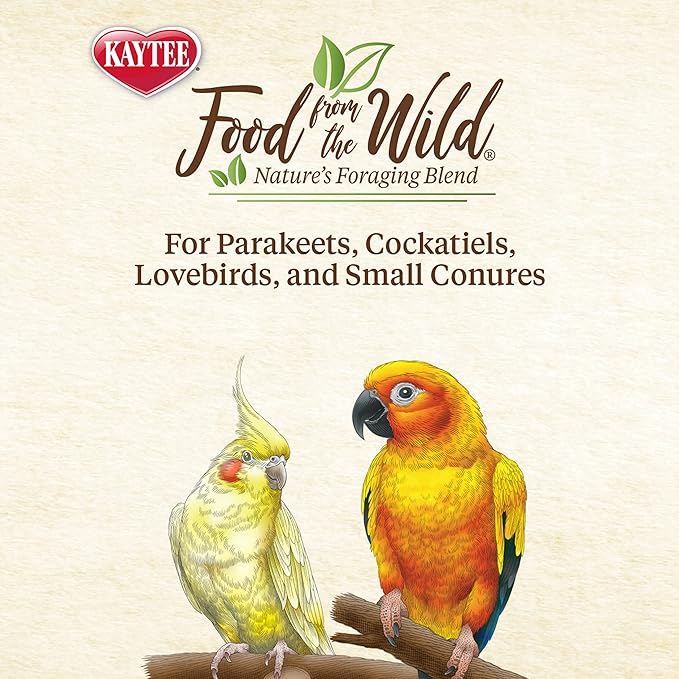 Kaytee Food from The Wild Natural Pet Bird Snack Food Treats for Parakeets, Cockatiels, Lovebirds, and Small Conures, 3 oz (Pack of 2)