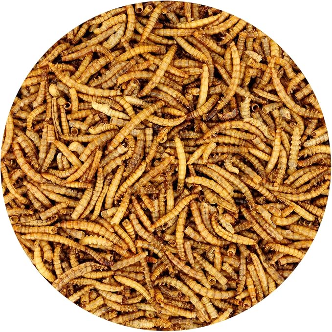 Dried Mealworms - 100% Natural, Non-GMO, High Protein, Bulk Insect Treat for Chicken, Laying Hen, Chick, Wild Bird, Bluebird, Duck, Goose, Turkey, Chickadee, Titmice, Wren, Reptile, Fish (22 lb.)