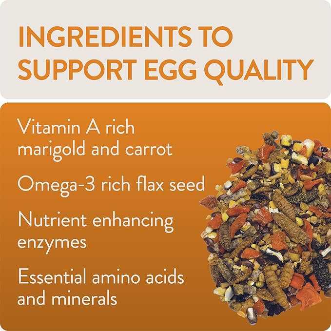 Enhance, Functional Poultry Treats for Egg Production & Quality, 1.5 lb (Pack of 2)