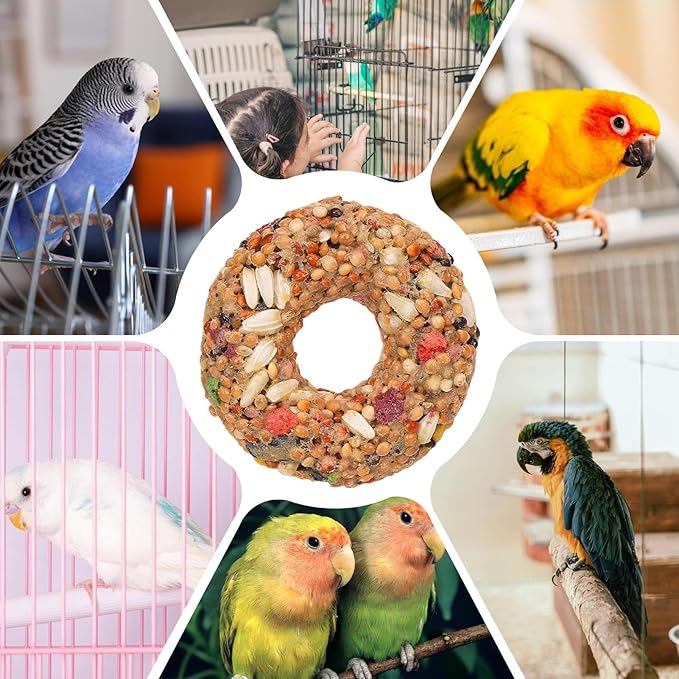 Bird Cage Toys - Grain Teether Treats, Donut Shaped Snack, Colorful Chewing Accessory | for Cockatiels Parrots Budgies Finches, Aviary Play Training Supplies, Interactive Pet Bird Enrichment