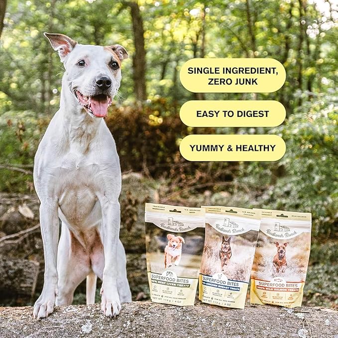 BADLANDS RANCH by Katherine Heigl – Superfood Bite Freeze-Dried Raw Beef Liver Dog Treats – High Protein Single-Ingredient Snacks for Training, Rewards & Daily Wellness – 4 oz (Pack of 4)