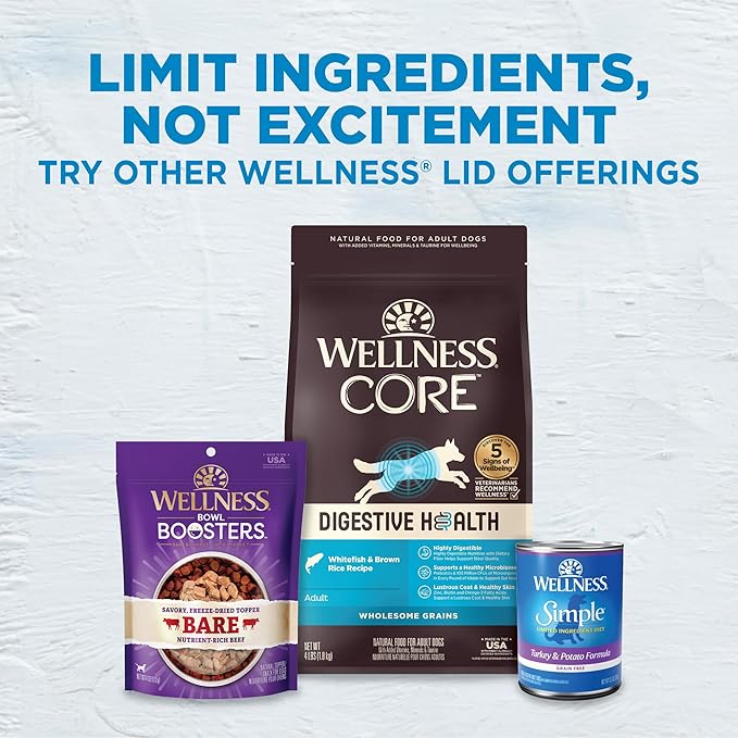 Wellness Simple Limited Ingredient Adult Dry Dog Food, Grain Free Kibble, Sensitive Stomach, Skin & Coat Support, Natural, Chicken Free, Salmon and Potato Recipe, 24 lb Bag