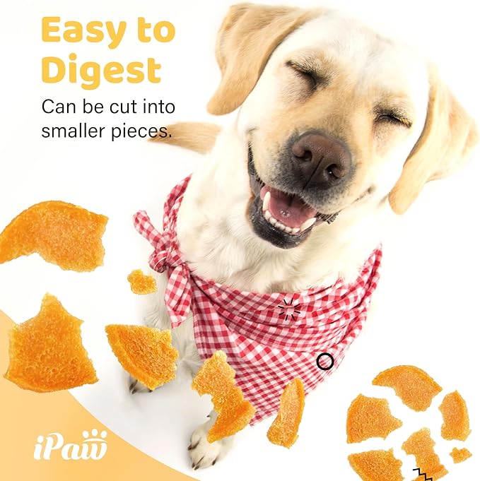 iPaw Chicken Chips Dog Treats for Puppy Training, All Natural Human Grade Dog Treat, Hypoallergenic, Easy to Digest (Chicken Chips)