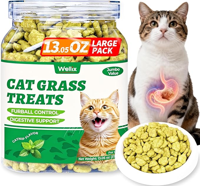 Wellix 13.05oz Organic Cat Grass Treats with Catnip & Salmon - Healthy Cat Treats for Indoor Cats - Hairball Control & Digestive Support - Kittens Training Snacks for Teeth Cleaning