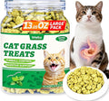 Wellix 13.05oz Organic Cat Grass Treats with Catnip & Salmon - Healthy Cat Treats for Indoor Cats - Hairball Control & Digestive Support - Kittens Training Snacks for Teeth Cleaning