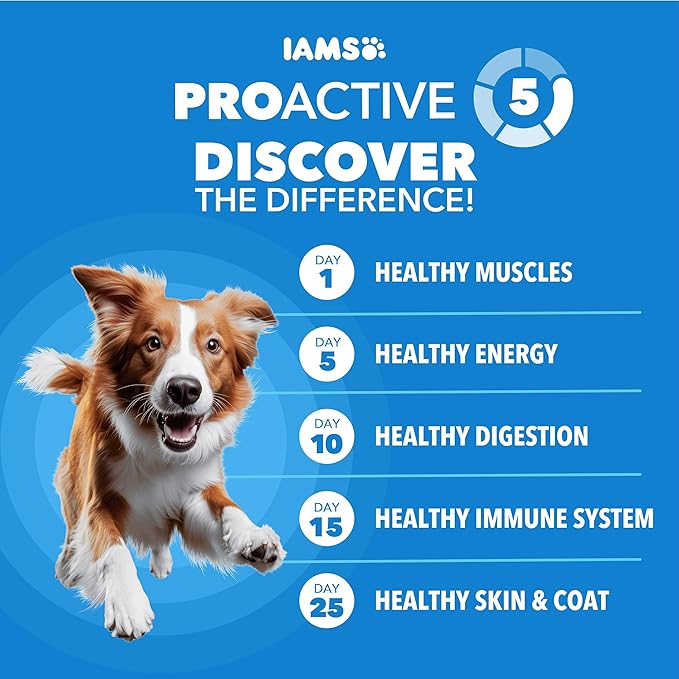 IAMS Proactive Health, Dry Dog Food, Adult Dog Food Dry Recipe for Healthy Weight, with Chicken, 15 lb. Bag