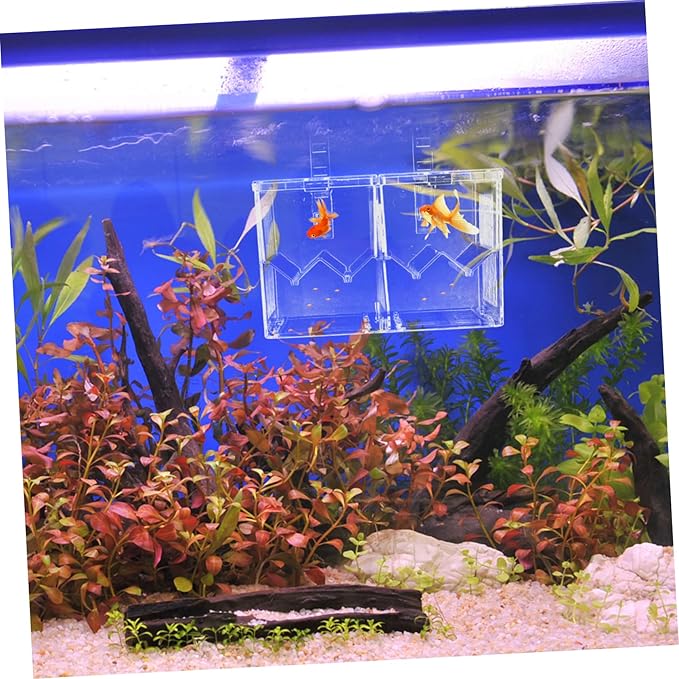 YARNOW 1pc Fish Tank Hatching Incubator Dual Isolation Box for Breeding Fish Plastic Aquarium Accessory Hook Mode for Guppies Shrimp