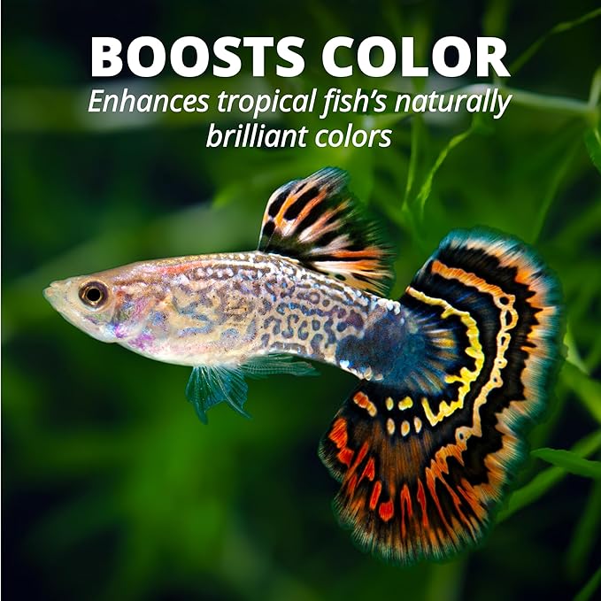 TetraPro Tropical Color Crisps, Fish Food With Natural Color Enhancers, Tropical Fish Food, 7.41 Ounces