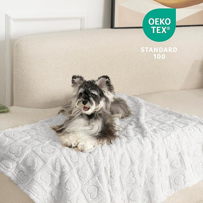 gogobunny Calming Plush Dog Cat Blanket 300GSM Coral Fleece, Ultra-Soft Machine Washable Pet Bedding for Small Medium Dogs Cats Puppies Kittens (Silver, 25x35)