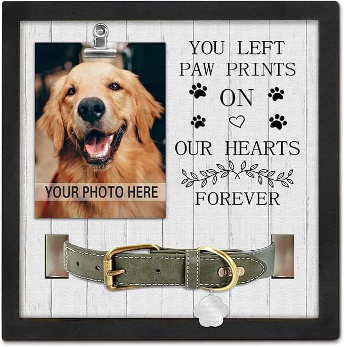 Pet Loss Gift for Loss of Dog, Memorial Sympathy Gifts Pet Memorial Frame, Cat Memorial Gift, You Left paw Prints