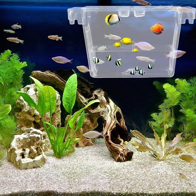 HANABASS Aquarium Fry Box and Fish Breeding Hatchery Incubator with Air Circulation, Small Isolation Box for Fish Tank Suitable for Betta and Shrimp Breeding