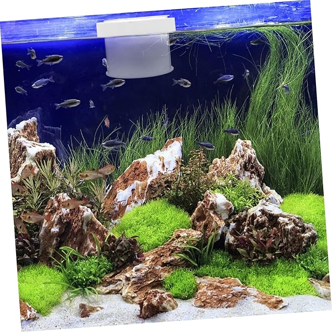 BESPORTBLE Floating Aquarium Breed Box Acrylic Fish Tank Hatchery with Design for Fish Observation Easy to Use and Adaptable